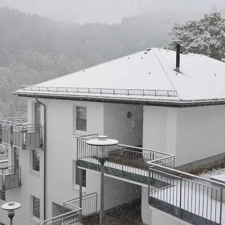 Modernes Mit Zentralheizung In Apartment Willingen (Upland)