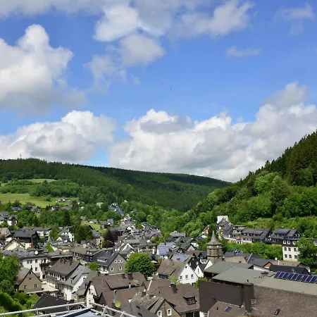 Modernes Mit Zentralheizung In Willingen (Upland)