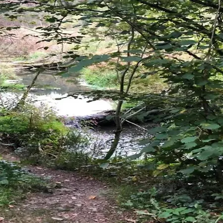 Modernes Mit Zentralheizung In Apartment Willingen (Upland)