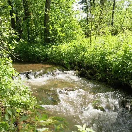 Modernes Mit Zentralheizung In Apartment
