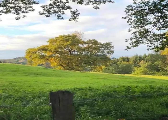 Modernes Mit Zentralheizung In Apartment Willingen (Upland)