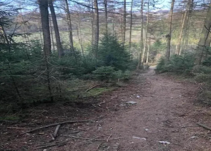 Modernes Mit Zentralheizung In Willingen (Upland)