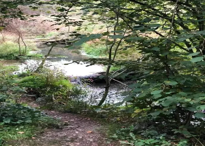 Modernes Mit Zentralheizung In Apartment Willingen (Upland)